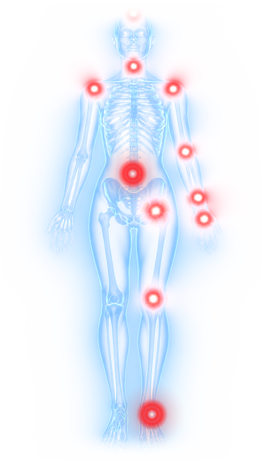Interactive body diagram with highlighted areas for head, shoulder, elbow, wrist and hand, hip, and knee